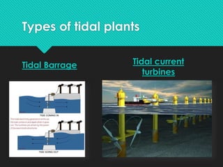 Types of tidal plants
Tidal Barrage Tidal current
turbines
 