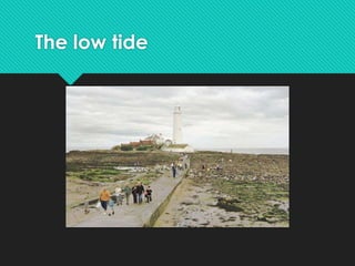 The low tide
 