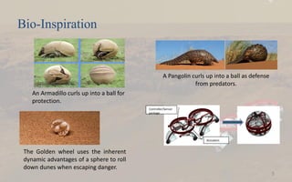 Controller/Sensor
package
Actuators
The Golden wheel uses the inherent
dynamic advantages of a sphere to roll
down dunes when escaping danger.
A Pangolin curls up into a ball as defense
from predators.
Bio-Inspiration
5
An Armadillo curls up into a ball for
protection.
 