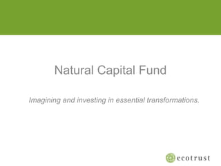 Natural Capital Fund
Imagining and investing in essential transformations.
 