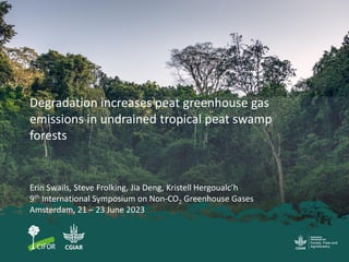 Degradation increases peat greenhouse gas
emissions in undrained tropical peat swamp
forests
Erin Swails, Steve Frolking, Jia Deng, Kristell Hergoualc’h
9th International Symposium on Non-CO2 Greenhouse Gases
Amsterdam, 21 – 23 June 2023
 