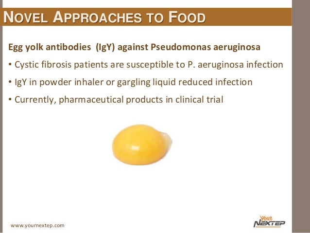 What Food Should You Eat With Gastroenteritis What Food Should You Eat With Gastroenteritis
