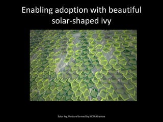 Enabling adoption with beautiful solar-shaped ivySolar Ivy, Venture formed by NCIIA Grantee