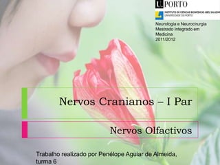 Neurologia e Neurocirurgia
Mestrado Integrado em
Medicina
2011/2012

Nervos Cranianos – I Par
Nervos Olfactivos
Trabalho realizado por Penélope Aguiar de Almeida,
turma 6

 