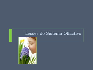 Lesões do Sistema Olfactivo

 