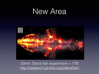 New Area
30min Zebra ﬁsh experiment = 1TB
http://research.janelia.org/zebraﬁsh/
 