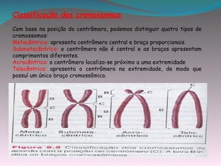 Classificação dos cromossomos
Com base na posição do centrômero, podemos distinguir quatro tipos de
cromossomos:
Metacêntrico: apresenta centrômero central e braço proporcionais.
Submetacêntrico: o centrômero não é central e os braços apresentam
comprimentos diferentes.
Acrocêntrico: o centrômero localiza-se próximo a uma extremidade
Telocêntrico: apresenta o centrômero na extremidade, de modo que
possuí um único braço cromossômico.
 