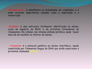 -Nucleoplasma : é semelhante ao hialoplasma do citoplasma, e é
onde ocorrem importantes reações como a duplicação e a
transcrição



-Nucléolo: é uma estrutura facilmente identificada no núcleo.
Local de depósito de RNAr e de proteínas formadoras de
ribossomos. Em células com intensa síntese protéica, pode haver
mais de um nucléolo no interior do núcleo.



- Cromatina: é o material genético no núcleo interfásico, sendo
constituída por filamentos longos de DNA que estão associados a
proteínas chamadas histonas.
 