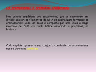 Os cromossomo: a cromatina condensada

Nas células somáticas dos eucariontes, que se encontram em
divisão celular, os filamentos de DNA se espiralizam formando os
cromossomos. Cada um deles é composto por uma única e longa
molécula de DNA em dupla hélice associado a proteínas, as
histonas.




Cada espécie apresenta seu conjunto constante de cromossomos
que se denomina cariótipo.
 