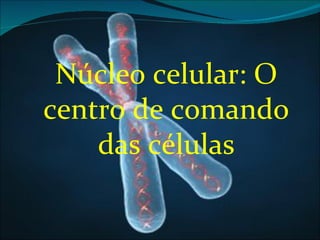 Núcleo celular: O
centro de comando
    das células
 