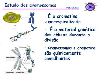 • É a cromatina
superespiralizada
• É o material genético
das células durante a
divisão
• Cromossomos e cromatina
são quimicamente
semelhantes
Estudo dos cromossomos Prof. Emanuel
Centrômero
Cromátide Cromátide
Nucleossomo
 