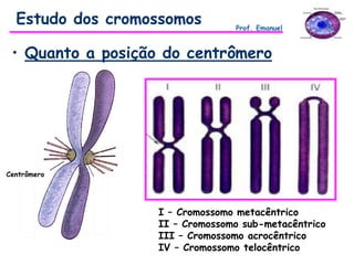 • Quanto a posição do centrômero
Estudo dos cromossomos
I – Cromossomo metacêntrico
II – Cromossomo sub-metacêntrico
III – Cromossomo acrocêntrico
IV – Cromossomo telocêntrico
Prof. Emanuel
Centrômero
 