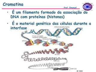 Cromatina
• É um filamento formado da associação do
DNA com proteínas (histonas)
• É o material genético das células durante a
interfase
Prof. Emanuel
 