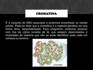 CROMATINA
É o conjunto de DNA associado a proteínas encontrado no núcleo
celular. Pode-se dizer que a cromatina é o material genético em sua
forma ativa, descondensada. Para imaginá-lo, podemos associar
com fios de vários novelos de lã, que estejam desenrolados e
misturados de maneira que não se pode identificar onde cada um
começa ou termina.

 