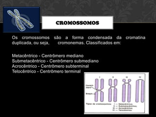 CROMOSSOMOS
Os cromossomos são a forma condensada da
duplicada, ou seja,, os cromonemas. Classificados em:
Metacêntrico - Centrômero mediano
Submetacêntrico - Centrômero submediano
Acrocêntrico - Centrômero subterminal
Telocêntrico - Centrômero terminal

cromatina

 