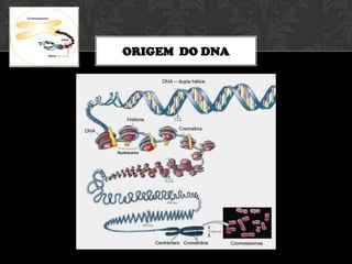 ORIGEM DO DNA

 