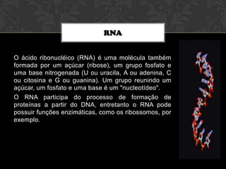RNA
O ácido ribonucléico (RNA) é uma molécula também
formada por um açúcar (ribose), um grupo fosfato e
uma base nitrogenada (U ou uracila, A ou adenina, C
ou citosina e G ou guanina). Um grupo reunindo um
açúcar, um fosfato e uma base é um "nucleotídeo".
O RNA participa do processo de formação de
proteínas a partir do DNA, entretanto o RNA pode
possuir funções enzimáticas, como os ribossomos, por
exemplo.

 