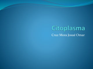 Cruz Mora Josué Omar
 