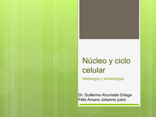 Núcleo y ciclo
celular
Histología y embriología
Dr. Guillermo Ahumada Ortega
Félix Amano Johanna yukio
 