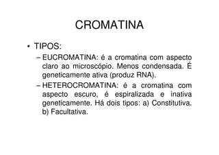 CROMATINA
• TIPOS:
  – EUCROMATINA: é a cromatina com aspecto
    claro ao microscópio. Menos condensada. É
    geneticamente ativa (produz RNA).
  – HETEROCROMATINA: é a cromatina com
    aspecto escuro, é espiralizada e inativa
    geneticamente. Há dois tipos: a) Constitutiva.
    b) Facultativa.
 