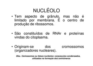 NUCLÉOLO
• Tem aspecto de grânulo, mas não é
  limitado por membrana. É o centro de
  produção de ribossomos.

• São constituídos de RNAr e proteínas
  vindas do citoplasma.

• Originam-se       dos                        cromossomos
  (organizadores nucleares).
  Obs.: Cariossomos ou falsos nucléolos: corpúsculos condensados,
                 utilizados na formação dos centrômeros
 