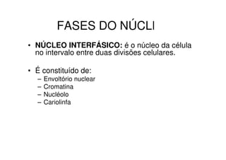 FASES DO NÚCLEO
• NÚCLEO INTERFÁSICO: é o núcleo da célula
  no intervalo entre duas divisões celulares.

• É constituído de:
  –   Envoltório nuclear
  –   Cromatina
  –   Nucléolo
  –   Cariolinfa
 