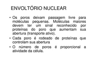 ENVOLTÓRIO NUCLEAR
• Os poros deixam passagem livre para
  moléculas pequenas. Moléculas maiores
  devem ter um sinal reconhecido por
  proteínas do poro que aumentam sua
  abertura (transporte ativo).
• Cada poro é rodeado de proteínas que
  controlam sua abertura
• O número de poros é proporcional a
  atividade da célula.
 