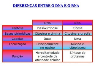 DIFERENÇAS ENTRE O DNA E O RNADIFERENÇAS ENTRE O DNA E O RNA
 