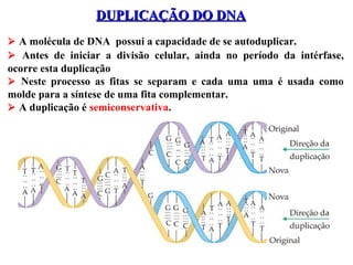 DUPLICAÇÃO DO DNADUPLICAÇÃO DO DNA
 A molécula de DNA possui a capacidade de se autoduplicar.
 Antes de iniciar a divisão celular, ainda no período da intérfase,
ocorre esta duplicação
 Neste processo as fitas se separam e cada uma uma é usada como
molde para a síntese de uma fita complementar.
 A duplicação é semiconservativa.
 