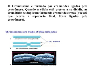 O Cromossomo é formado por cromátides ligadas pelo
centrômero. Quando a célula está prestes a se dividir, as
cromátides se duplicam formando cromátides irmãs (que até
que ocorra a separação final, ficam ligadas pelo
centrômero).
 