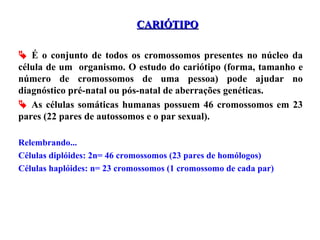  É o conjunto de todos os cromossomos presentes no núcleo da
célula de um organismo. O estudo do cariótipo (forma, tamanho e
número de cromossomos de uma pessoa) pode ajudar no
diagnóstico pré-natal ou pós-natal de aberrações genéticas.
 As células somáticas humanas possuem 46 cromossomos em 23
pares (22 pares de autossomos e o par sexual).
Relembrando...
Células diplóides: 2n= 46 cromossomos (23 pares de homólogos)
Células haplóides: n= 23 cromossomos (1 cromossomo de cada par)
CARIÓTIPOCARIÓTIPO
 