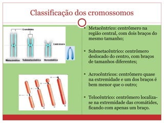 Classificação dos cromossomos Metacêntrico: centrômero na região central, com dois braços do mesmo tamanho; Submetacêntrico: centrômero deslocado do centro, com braços de tamanhos diferentes; Acrocêntricos: centrômero quase na extremidade e um dos braços é bem menor que o outro; Telocêntrico: centrômero localiza-se na extremidade das cromátides, ficando com apenas um braço. 