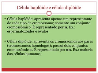 Célula haplóide e célula diplóide Célula haplóide: apresenta apenas um representante de cada tipo de cromossomo; somente um conjunto cromossômico. É representado por  n . Ex.: espermatozóides e óvulos. Célula diplóide: apresenta os cromossomos aos pares (cromossomos homólogos); possui dois conjuntos cromossômicos. É representado por  2n . Ex.: maioria das células humanas. 