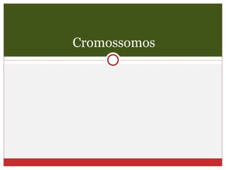 Cromossomos 