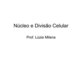 Núcleo e Divisão Celular
Prof. Lúzia Milena
 