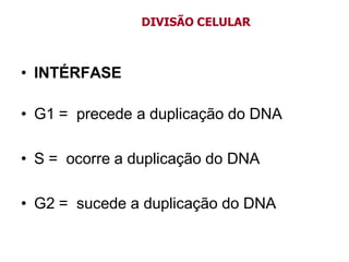 • INTÉRFASE
• G1 = precede a duplicação do DNA
• S = ocorre a duplicação do DNA
• G2 = sucede a duplicação do DNA
DIVISÃO CELULAR
 