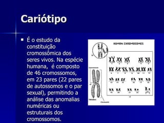 Cariótipo É o estudo da constituição cromossômica dos seres vivos. Na espécie humana,  é composto de 46 cromossomos, em 23 pares (22 pares de autossomos e o par sexual), permitindo a análise das anomalias numéricas ou estruturais dos cromossomos.   