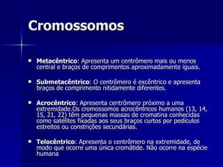 Cromossomos Metacêntrico : Apresenta um centrômero mais ou menos central e braços de comprimentos aproximadamente iguais. Submetacêntrico : O centrômero é excêntrico e apresenta braços de comprimento nitidamente diferentes. Acrocêntrico : Apresenta centrômero próximo a uma extremidade.Os cromossomos acrocêntricos humanos (13, 14, 15, 21, 22) têm pequenas massas de cromatina conhecidas como satélites fixadas aos seus braços curtos por pedículos estreitos ou constrições secundárias. Telocêntrico : Apresenta o centrômero na extremidade, de modo que ocorre uma única cromátide. Não ocorre na espécie humana 