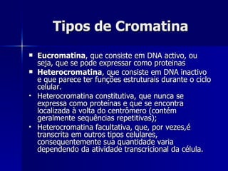Tipos de Cromatina Eucromatina , que consiste em DNA activo, ou seja, que se pode expressar como proteinas  Heterocromatina , que consiste em DNA inactivo e que parece ter funções estruturais durante o ciclo celular.  Heterocromatina constitutiva, que nunca se expressa como proteínas e que se encontra localizada à volta do centrômero (contém geralmente sequências repetitivas); Heterocromatina facultativa, que, por vezes,é transcrita em outros tipos celulares, consequentemente sua quantidade varia dependendo da atividade transcricional da célula.  