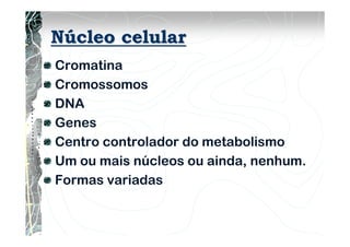 Núcleo celular
Cromatina
Cromossomos
DNA
Genes
Centro controlador do metabolismo
Um ou mais núcleos ou ainda, nenhum.
Formas variadas