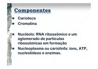 Componentes
Carioteca
Cromatina
Nucléolo: RNA ribossômico e um
aglomerado de partículas
ribossômicas em formação
Nucleoplasma ou cariolinfa: íons, ATP,
nucleotídeos e enzimas.
