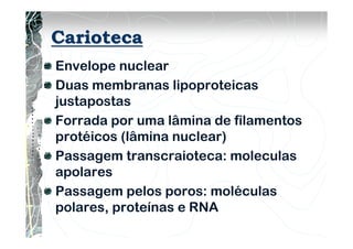 Carioteca
Envelope nuclear
Duas membranas lipoproteicas
justapostas
Forrada por uma lâmina de filamentos
protéicos (lâmina nuclear)
Passagem transcraioteca: moleculas
apolares
Passagem pelos poros: moléculas
polares, proteínas e RNA