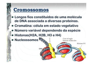 Cromossomos
Longos fios constituídos de uma molécula
de DNA associada a diversas proteínas.
Cromatina: célula em estado vegetativo
Número variável dependendo da espécie
Histonas(H2A, H2B, H3 e H4)
Nucleossomos