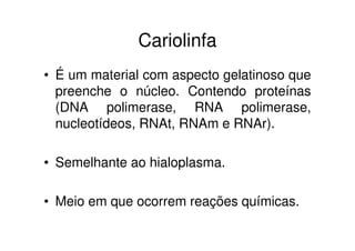 Cariolinfa
• É um material com aspecto gelatinoso que
preenche o núcleo. Contendo proteínas
(DNA polimerase, RNA polimerase,
nucleotídeos, RNAt, RNAm e RNAr).
• Semelhante ao hialoplasma.
• Meio em que ocorrem reações químicas.
 
