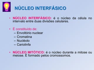 • NÚCLEO INTERFÁSICO: é o núcleo da célula no
intervalo entre duas divisões celulares.
• É constituído de:
– Envoltório nuclear
– Cromatina
– Nucléolo
– Cariolinfa
• NÚCLEO MITÓTICO: é o núcleo durante a mitose ou
meiose. É formado pelos cromossomos.
NÚCLEO INTERFÁSICO
 