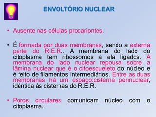 • Ausente nas células procariontes.
• É formada por duas membranas, sendo a externa
parte do R.E.R.. A membrana do lado do
citoplasma tem ribossomos a ela ligados. A
membrana do lado nuclear repousa sobre a
lâmina nuclear que é o citoesqueleto do núcleo e
é feito de filamentos intermediários. Entre as duas
membranas há um espaço:cisterna perinuclear,
idêntica às cisternas do R.E.R.
• Poros circulares comunicam núcleo com o
citoplasma.
ENVOLTÓRIO NUCLEAR
 