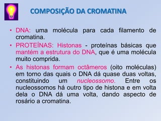 COMPOSIÇÃO DA CROMATINA
• DNA: uma molécula para cada filamento de
cromatina.
• PROTEÍNAS: Histonas - proteínas básicas que
mantém a estrutura do DNA, que é uma molécula
muito comprida.
• As histonas formam octâmeros (oito moléculas)
em torno das quais o DNA dá quase duas voltas,
constituindo um nucleossomo. Entre os
nucleossomos há outro tipo de histona e em volta
dela o DNA dá uma volta, dando aspecto de
rosário a cromatina.
 