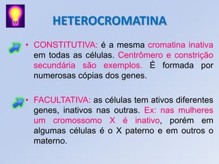 HETEROCROMATINA
• CONSTITUTIVA: é a mesma cromatina inativa
em todas as células. Centrômero e constrição
secundária são exemplos. É formada por
numerosas cópias dos genes.
• FACULTATIVA: as células tem ativos diferentes
genes, inativos nas outras. Ex: nas mulheres
um cromossomo X é inativo, porém em
algumas células é o X paterno e em outros o
materno.
 