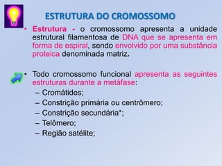 • Estrutura - o cromossomo apresenta a unidade
estrutural filamentosa de DNA que se apresenta em
forma de espiral, sendo envolvido por uma substância
proteica denominada matriz.
• Todo cromossomo funcional apresenta as seguintes
estruturas durante a metáfase:
– Cromátides;
– Constrição primária ou centrômero;
– Constrição secundária*;
– Telômero;
– Região satélite;
ESTRUTURA DO CROMOSSOMO
 