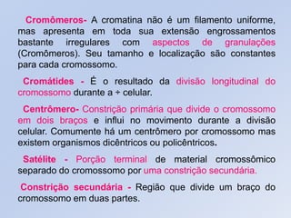 Cromômeros- A cromatina não é um filamento uniforme,
mas apresenta em toda sua extensão engrossamentos
bastante irregulares com aspectos de granulações
(Cromômeros). Seu tamanho e localização são constantes
para cada cromossomo.
Cromátides - É o resultado da divisão longitudinal do
cromossomo durante a ÷ celular.
Centrômero- Constrição primária que divide o cromossomo
em dois braços e influi no movimento durante a divisão
celular. Comumente há um centrômero por cromossomo mas
existem organismos dicêntricos ou policêntricos.
Satélite - Porção terminal de material cromossômico
separado do cromossomo por uma constrição secundária.
Constrição secundária - Região que divide um braço do
cromossomo em duas partes.
 